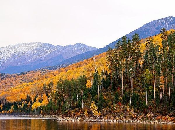 Национальный парк «Шушенский бор» ˗ природная жемчужина Красноярского края